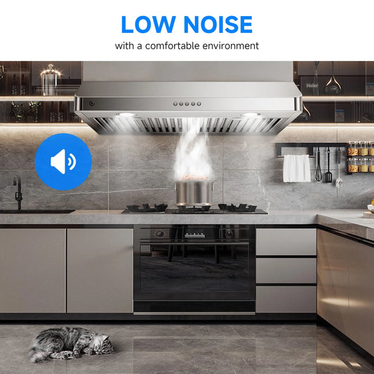 AMZCHEF Under Cabinet Range Hood 30 Inch 250CFM Stainless Steel Kitchen Stove Vent Hood 3 Speed Exhaust Fan Button Control LED lights Dishwasher