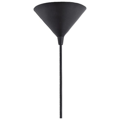 One Light Pendant-Black Finish -Traditional Installation Eurofase Lighting 20437-015