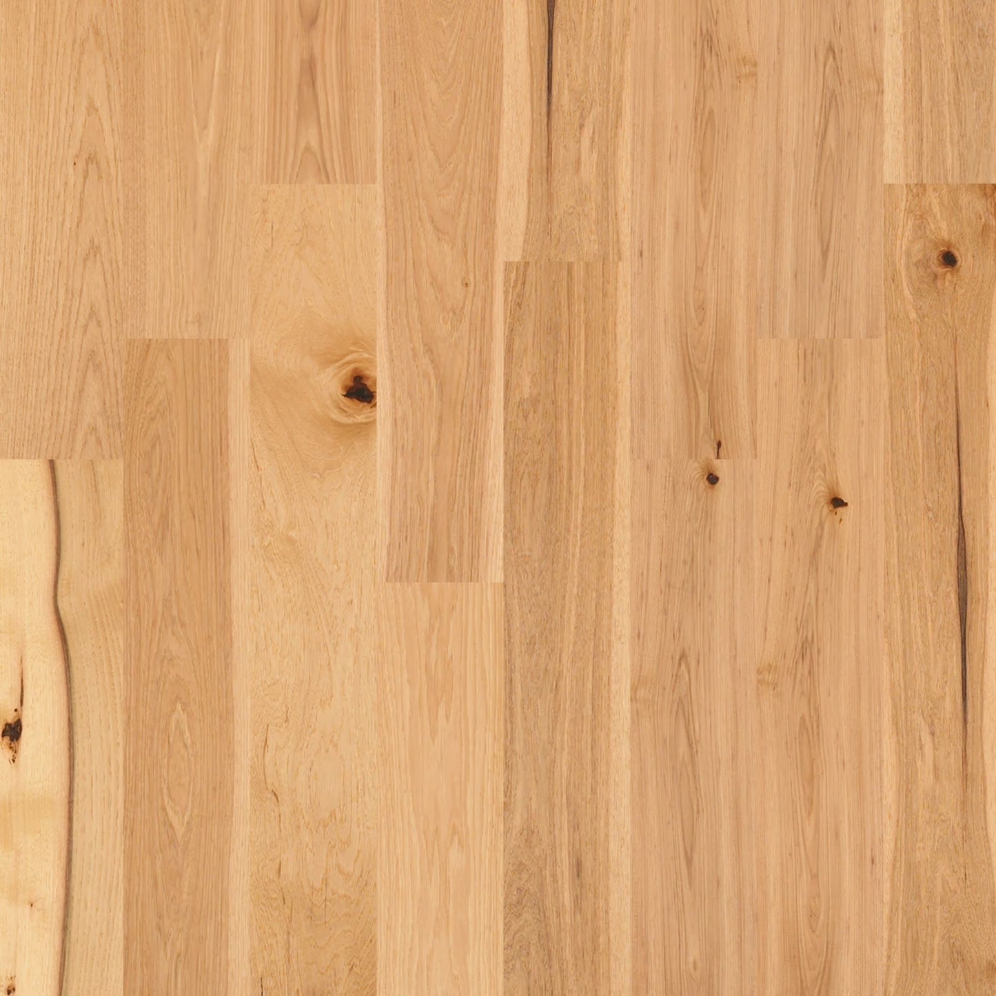 Shaw Sw486 Castlewood Hickory 8" Wide Wire Brushed Engineered Hickory Hardwood Flooring -