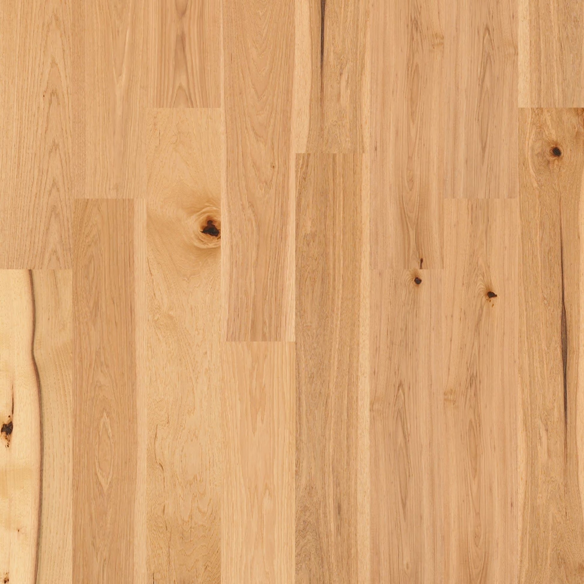 Shaw Sw486 Castlewood Hickory 8" Wide Wire Brushed Engineered Hickory Hardwood Flooring -