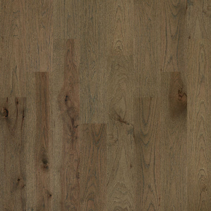Shaw Sw486 Castlewood Hickory 8" Wide Wire Brushed Engineered Hickory Hardwood Flooring -