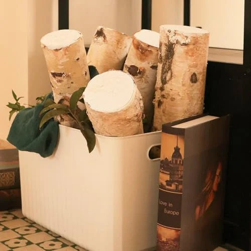 Large Birch Logs Fireplace Decor Birch Wood for Decorative DIY Crafts Natural Logs Gas Fireplace Log Fire Wood Logs for Decor Christmas 3.1-4 in Dia (Set of 5)
