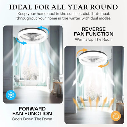 CannonX 14? Low Profile Ceiling Fans with Lights and Remote, Modern Fandelier Ceiling Fan with Light, 6 Speeds, 3 Lighting Modes 3500K-5500K, Flush Mount for Bedroom, LED 2200 Lumens