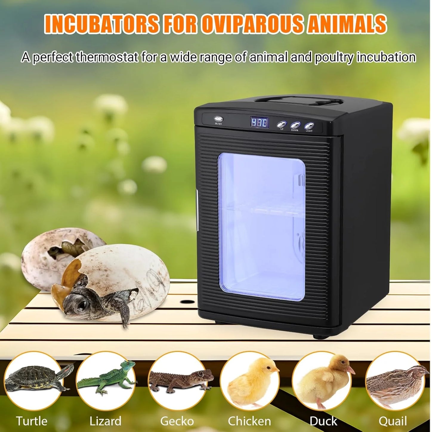 Garvee 25L Reptile Incubator for Hatching Eggs - Portable Scientific Laboratory Incubator, Temperature Controlled 10° C-60° C for Small Reptiles, Cooling and Heating Digital Incubator, 12V/110V Black