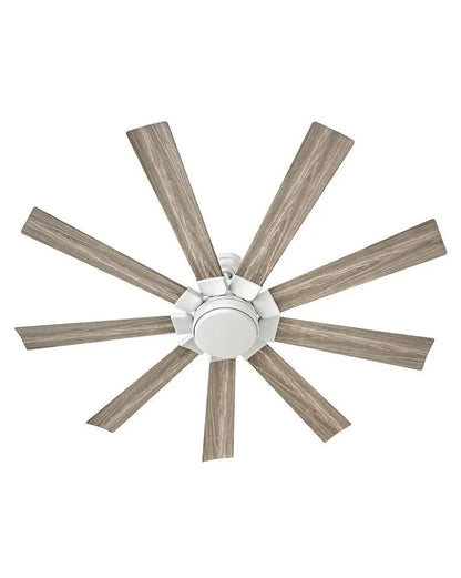 Hinkley Lighting - Turbine - 9 Blade Ceiling Fan with Light Kit In Modern and