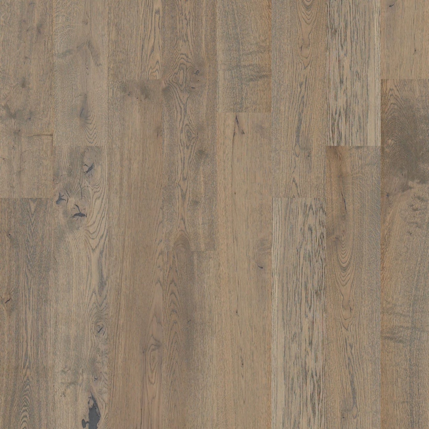 Shaw Sw485 Castlewood Oak 7-1/2" Wide Wire Brushed Engineered Hardwood Flooring - Baroque