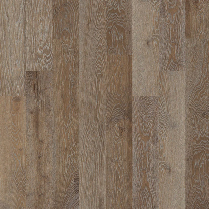 Shaw Sw485 Castlewood Oak 7-1/2" Wide Wire Brushed Engineered Hardwood Flooring - Baroque