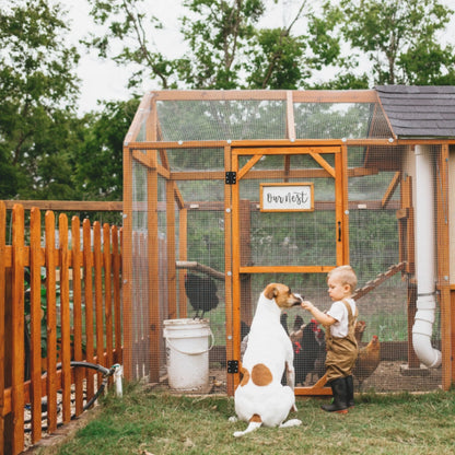 Hardware Cloth 1/2 inch 48in x 100 ft Welded Metal Wire Fencing Roll Mesh, 19 Gauge Square, Chicken Coop Wire Fence