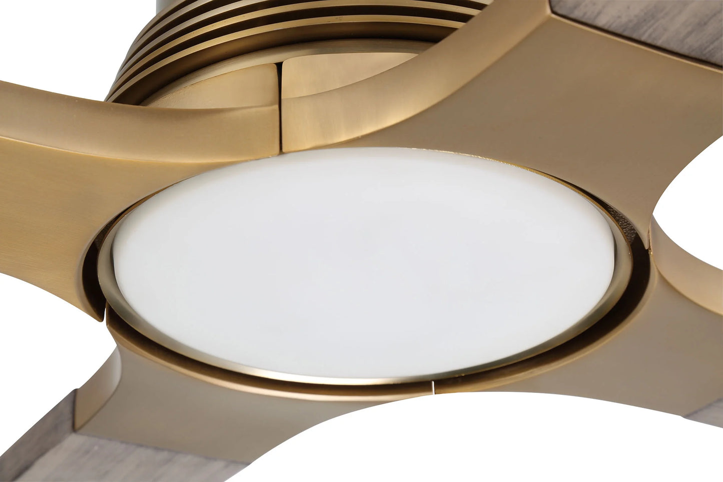 RIC60SB4-Craftmade Lighting-Ricasso - 4 Blade Ceiling Fan with Light Kit In Contemporary Style-60 Inche Wide-Satin Brass Finish