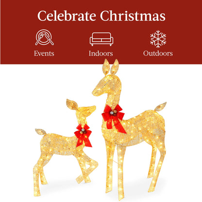 Best Choice Products 2-Piece Lighted Christmas Deer Set Outdoor Yard Decoration with 210 LED Lights, Stakes - Gold