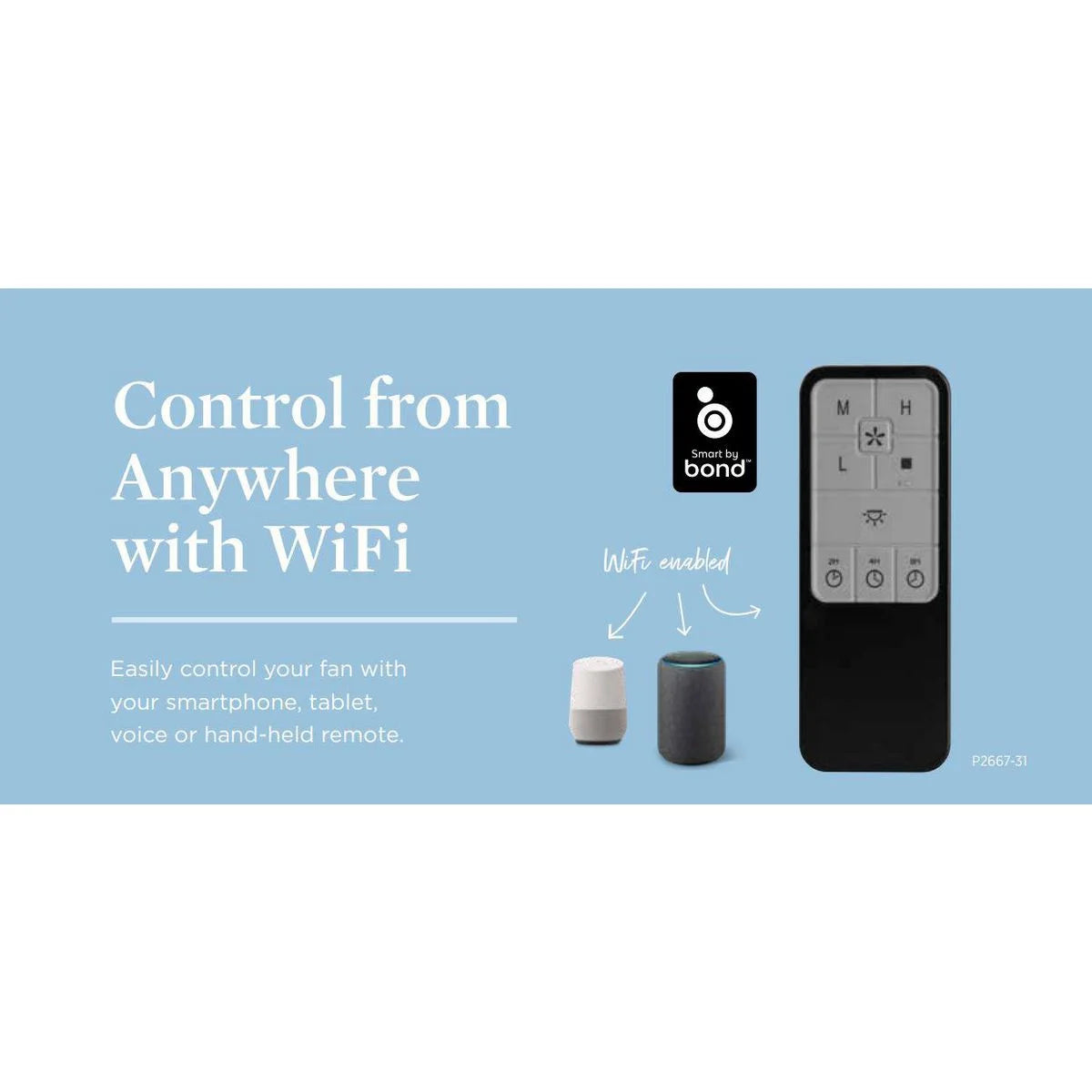P2667-31-Progress Lighting-AirPro Fan Control - Ceiling Fan Wifi Remote Control